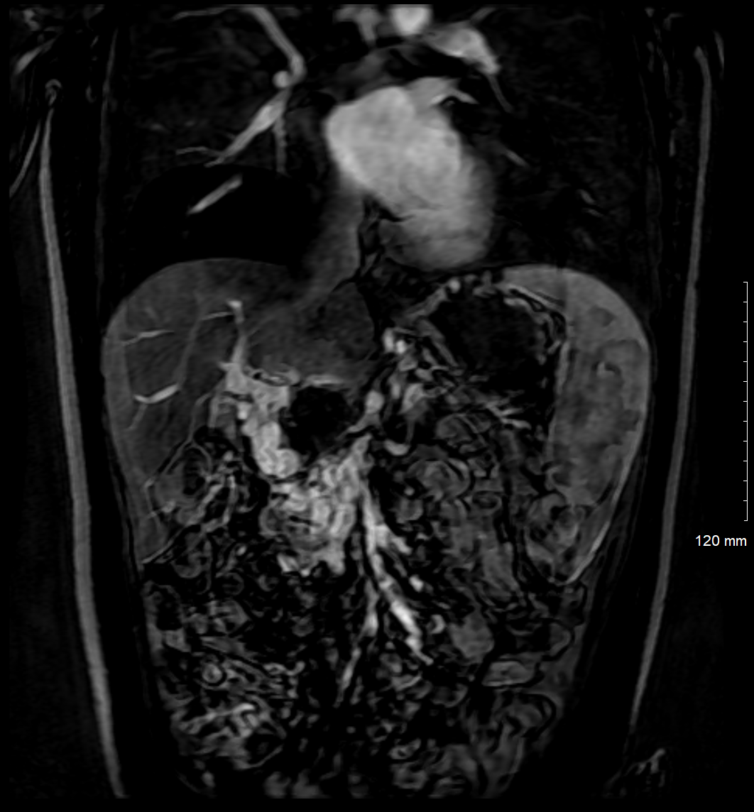 Case Image 5